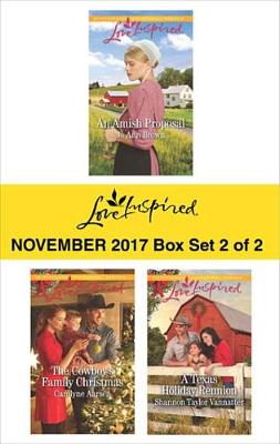 Book cover for Harlequin Love Inspired November 2017 - Box Set 2 of 2