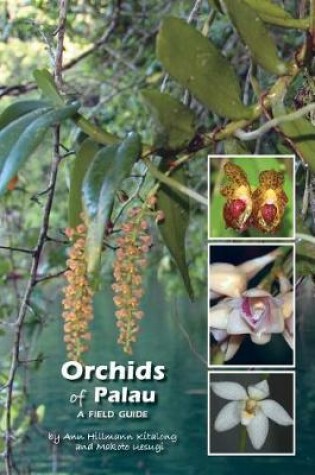 Cover of Orchids of Palau