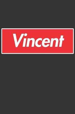 Book cover for Vincent