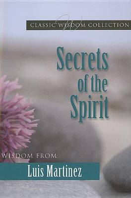 Book cover for Secrets of the Spirit Cwc