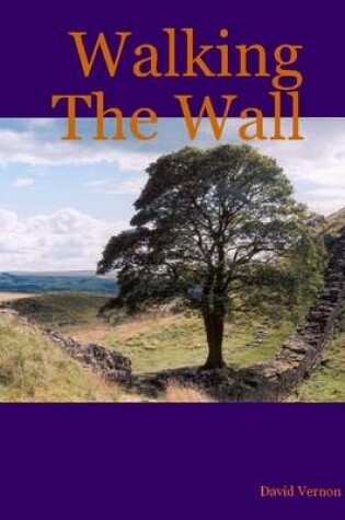 Cover of Walking the Wall