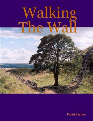 Book cover for Walking the Wall