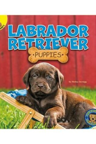 Cover of Labrador Retriever Puppies