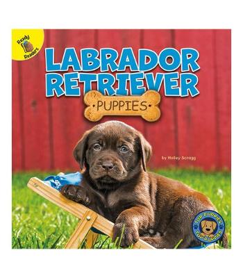 Cover of Labrador Retriever Puppies