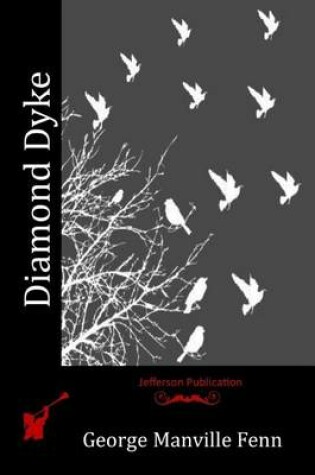 Cover of Diamond Dyke