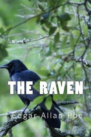 Cover of The Raven (Richard Foster Classics)