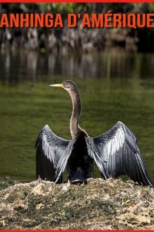 Cover of Anhinga d'Amérique