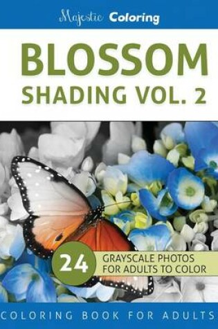 Cover of Blossom Shading Vol. 2