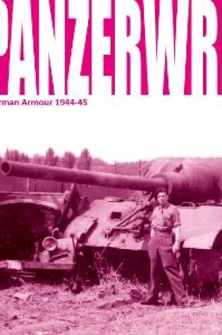 Cover of Panzerwrecks 24