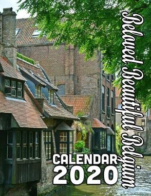 Book cover for Beloved Beautiful Belgium Calendar 2020