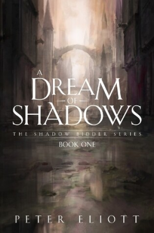 Cover of A Dream of Shadows
