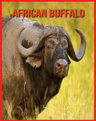 Book cover for African Buffalo