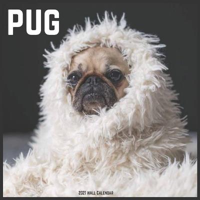 Book cover for Pug 2021 Wall Calendar