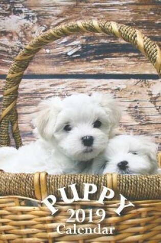 Cover of Puppy 2019 Calendar
