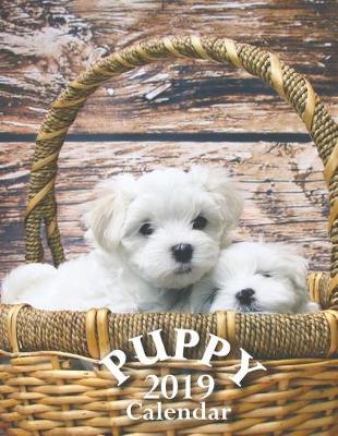 Book cover for Puppy 2019 Calendar