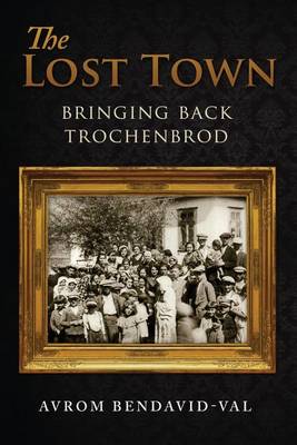 Book cover for The Lost Town