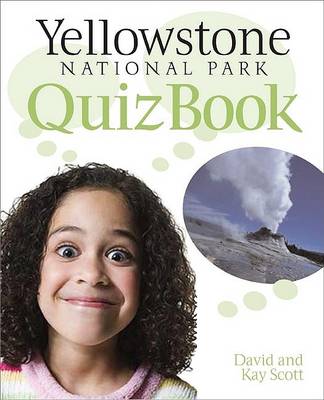 Book cover for Yellowstone Park Puzzles