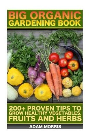 Cover of Big Organic Gardening Book