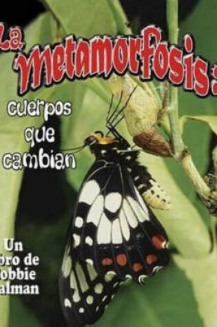 Cover of La Metamorfosis