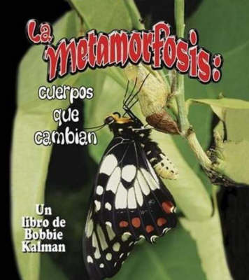 Book cover for La Metamorfosis