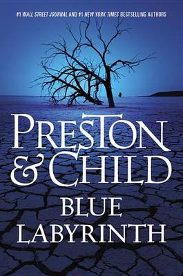 Book cover for Blue Labyrinth