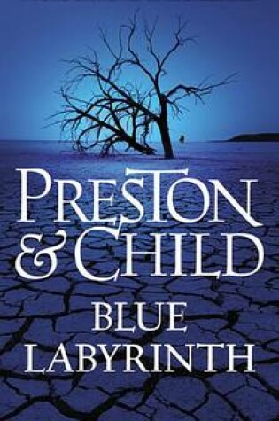 Cover of Blue Labyrinth
