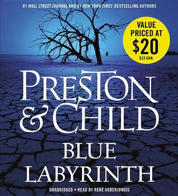 Book cover for Blue Labyrinth