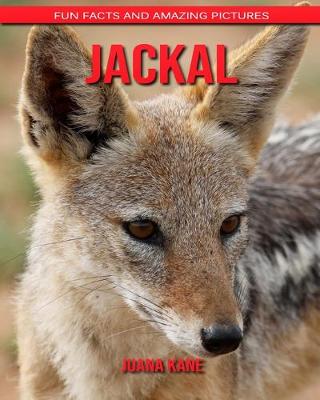 Book cover for Jackal