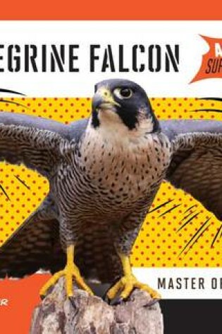 Cover of Peregrine Falcon: Master of Speed