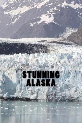 Book cover for Stunning Alaska