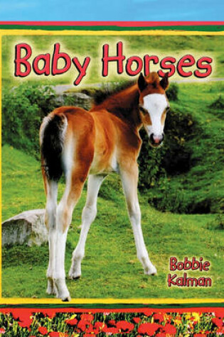 Cover of Baby Horses