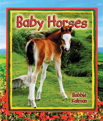 Book cover for Baby Horses