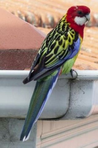 Cover of A Gorgeous Eastern Rosella Bird Journal