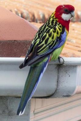 Book cover for A Gorgeous Eastern Rosella Bird Journal