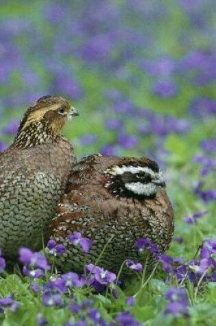 Cover of Two Northern Quail Birds Among the Purple Flowers Journal