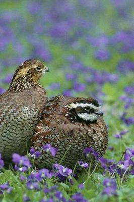 Book cover for Two Northern Quail Birds Among the Purple Flowers Journal