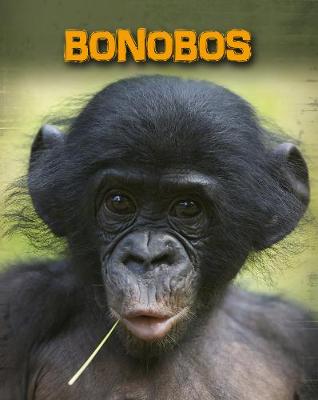 Book cover for Bonobos