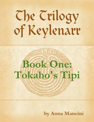 Book cover for Tokaho's Tipi