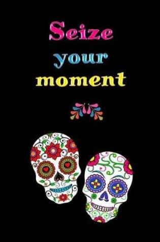 Cover of Seize Your Moment