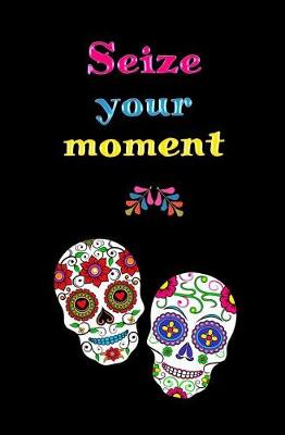 Book cover for Seize Your Moment