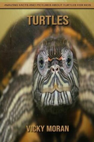 Cover of Turtles