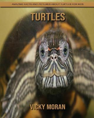 Book cover for Turtles