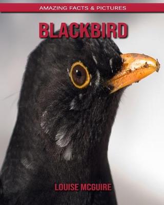 Book cover for Blackbird