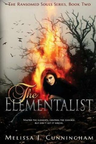 Cover of The Elementalist