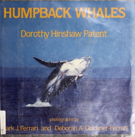 Book cover for Humpback Whales