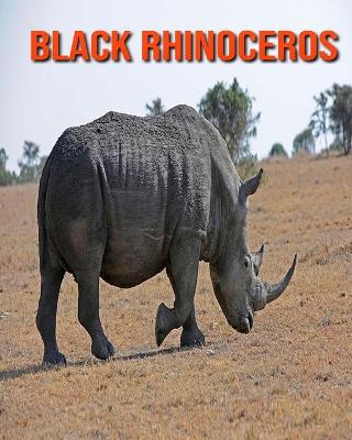 Cover of Black Rhinoceros