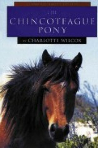 Cover of The Chincoteague Pony