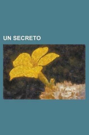 Cover of Un Secreto