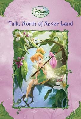 Book cover for Tink, North of Never Land (Disney Fairies)