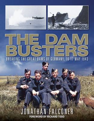 Book cover for The Dam Busters